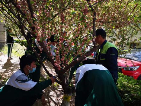 42443297a6d1ea20eea7b3c9c57ea39